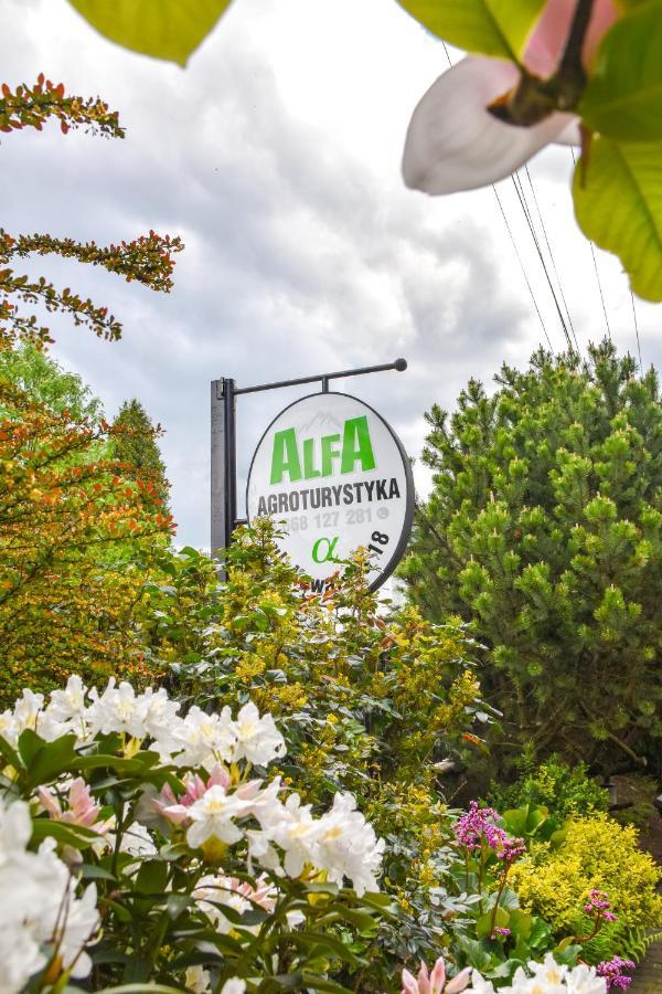 Agroturystyka Alfa Bystra  Esterno foto